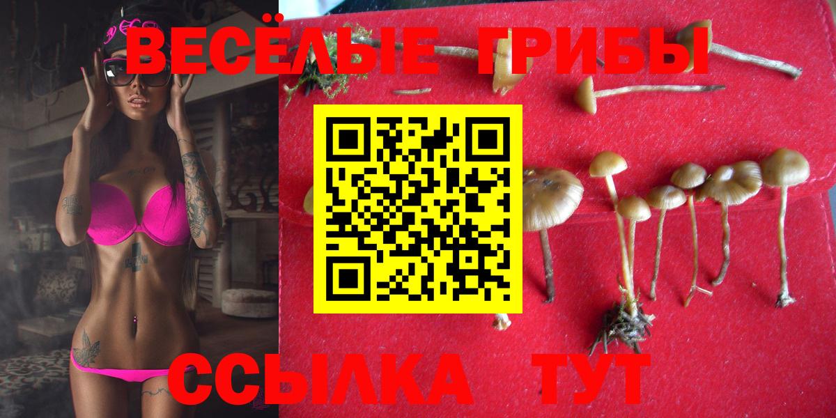 Галлюциногенные грибы мицелий  Вход с VPN  Ухта 