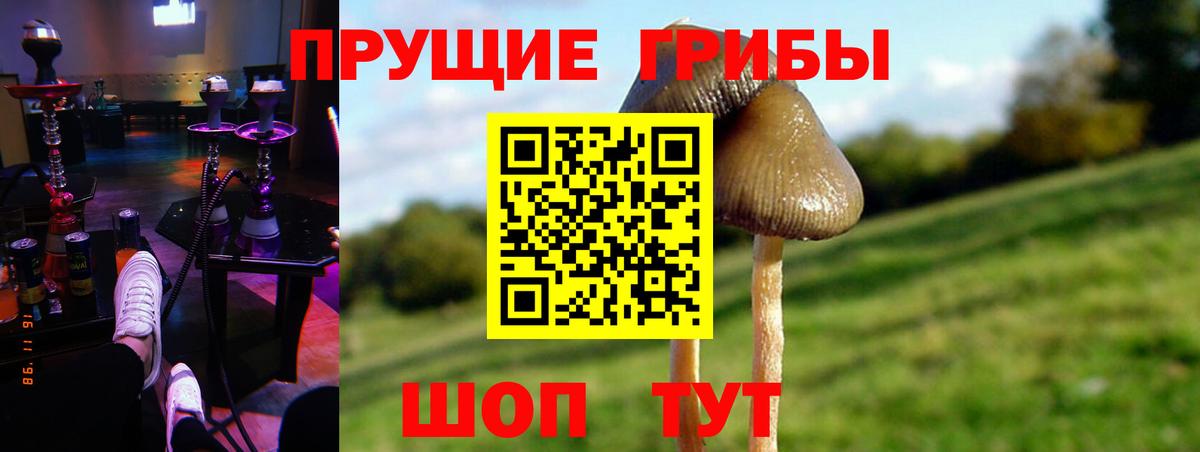 Псилоцибиновые грибы мухоморы Ухта